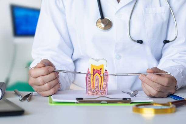 Best Emergency Denture Repair in Bright, IN